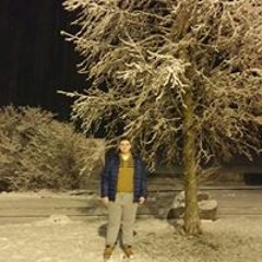 Dennis Balog Georgian