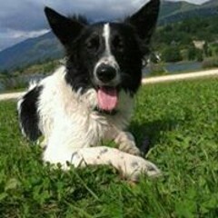 user251301459