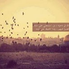 محررة الاقصي