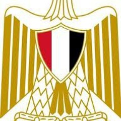 Mohamed Gamal