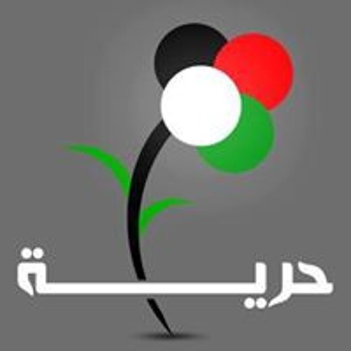 Ne'emat Alqaissi’s avatar