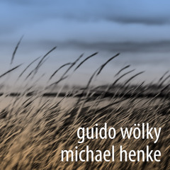 G. Wölky, M. Henke
