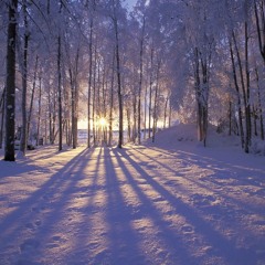 Europe Superstitious Solo - Cover