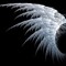 user2390255