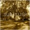 SUB//LUSH