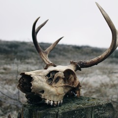 I Became the Wormhole