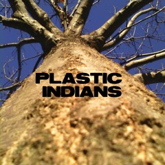 PLASTIC INDIANS