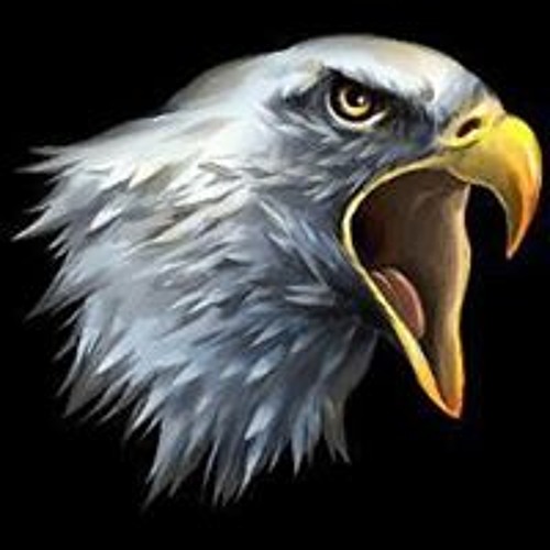 Eagle Imvu’s avatar