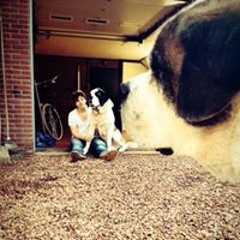 Jan Willem Oosterveld