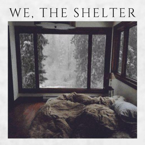 We, The Shelter’s avatar