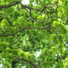 Rachael Morgan, composer