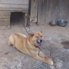 GET STAND UP !! / 双葉湊音