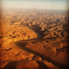 marwaneforestmarwane