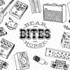 Bear Bites Horse Studio
