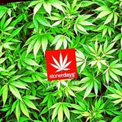 user96501751