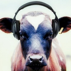 Animal Radio Music