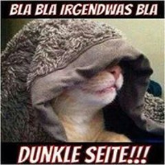 Silvester Bräutigam