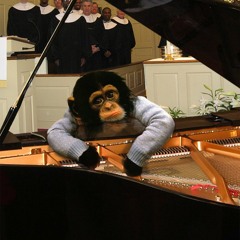 Claudio L. A. Gonçalves