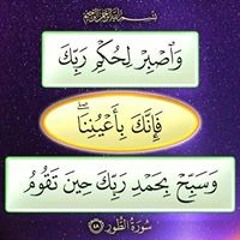 user605127880