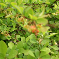 the Motörbreath rock'n'roll band  - Enter the bar