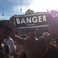 Animals - Martin Garrix (Mashup mix)