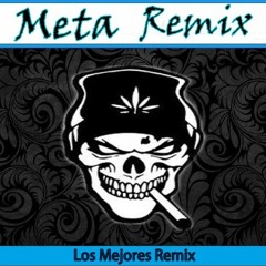 MetaRemixⓇ
