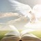 IAMchurch