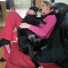 Stephanie Reardon Jenkins