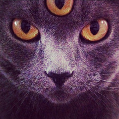 Lazer Kitteh