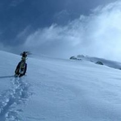 new and miscellaneous