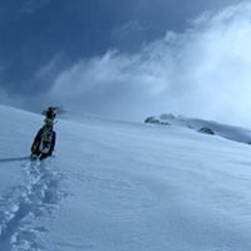 new and miscellaneous