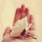 Soma Nasser