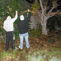 Cameron Phegley-Walker