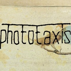 Phototaxis