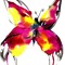 andreji.parnassius