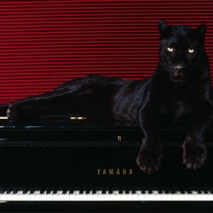 shadowpanther