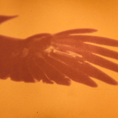 KALM Studio Track Mixing