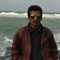 sayedkhalil