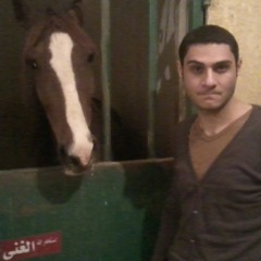 ahmed_adel261186