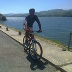 Domingo Alberto Gómez