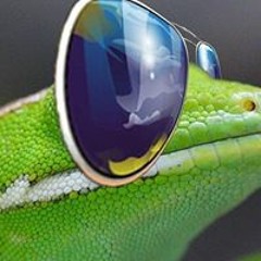 Max Triple A Jackson