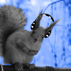 SoundSquirrel