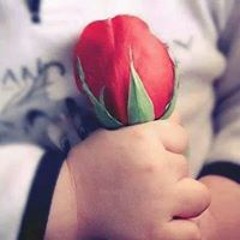 Sarah Hashem