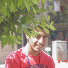 Mohamed ELshwehy
