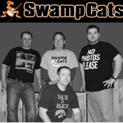 TheSwampCatsBand