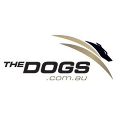 Greyhound Racing NSW