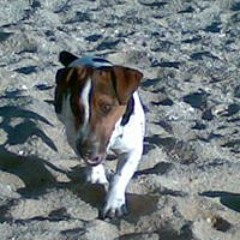 Mónica Carvajal Abellán