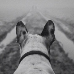 Sergey  Martinkevich