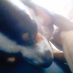 Unice Merlin Jankoeso