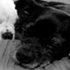 Eduardo Edu Ramirez Celpa